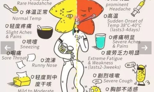 五叶草中药材-可供药用的五叶草网- 五叶草功效知识,分享五叶草功能主治