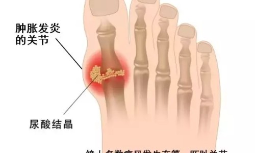 可供药用的五叶草网- 五叶草功效知识,分享五叶草功能主治